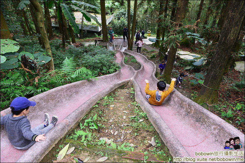【南投】鳳凰谷鳥園生態園區~超好玩的磨石子溜滑梯、百種珍禽鳥類、山林翠綠步道等你來探索