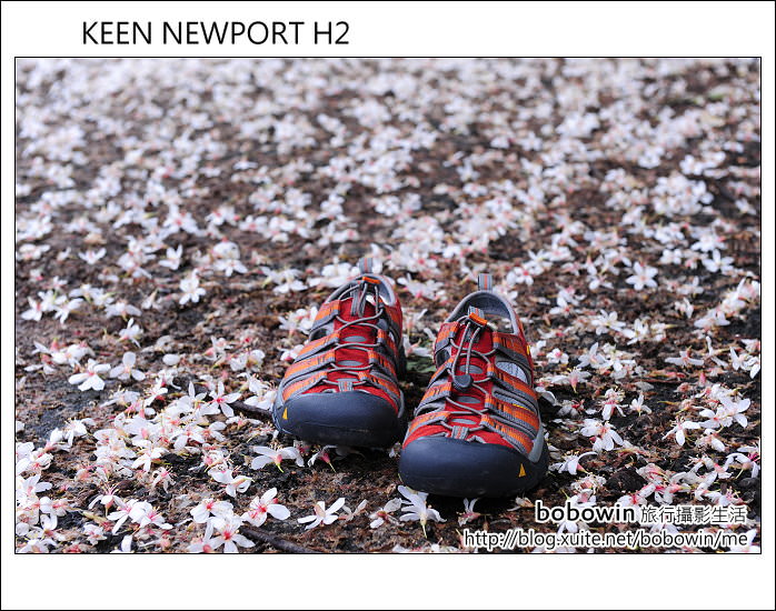 [ 邀約 ]  KEEN NEWPORT H2~水陸兩用涼鞋試穿