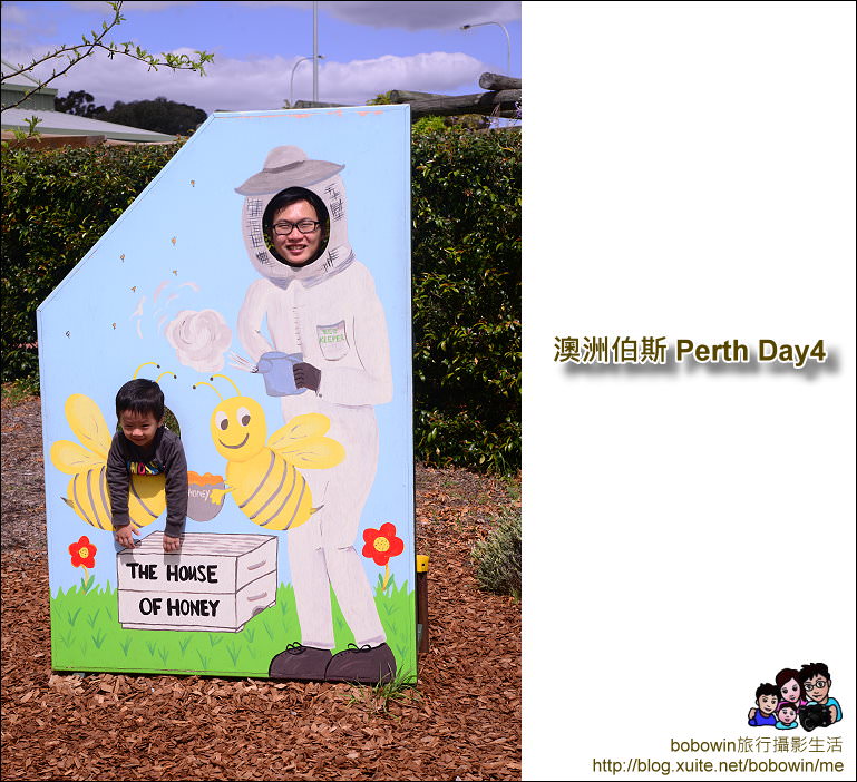 DSC_1242.JPG - 澳洲伯斯Perth Day4 Swan Valley 天鵝谷 