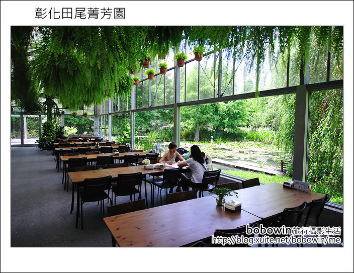 [ 彰化田尾 ]  菁芳園~溫室玻璃屋景觀餐廳