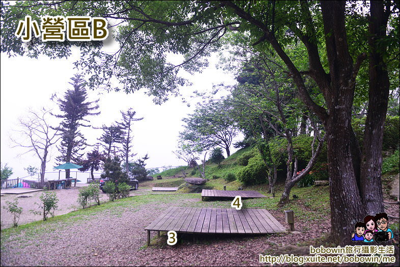 DSC_5212.JPG - 新竹紅薔薇露營區