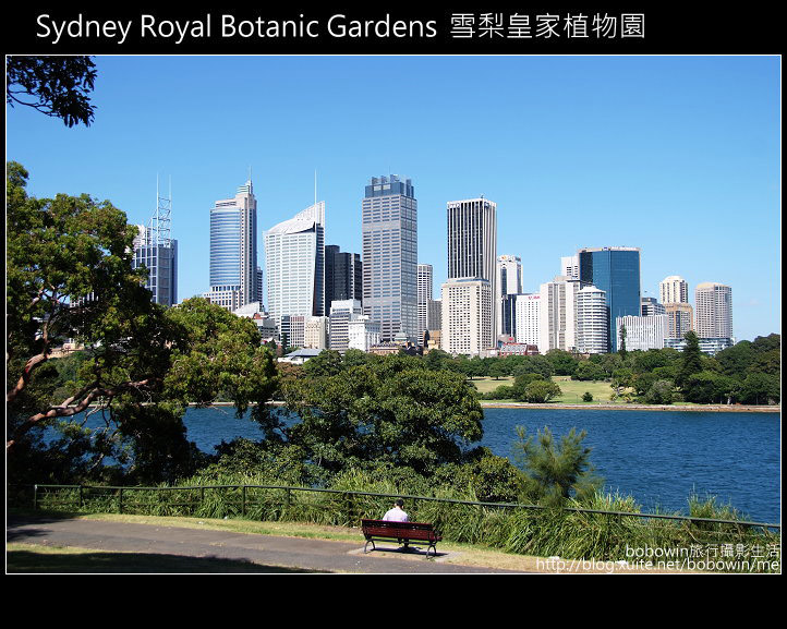 [ 澳洲 ] 雪梨皇家植物園 Sydney Royal Botanic Gardens