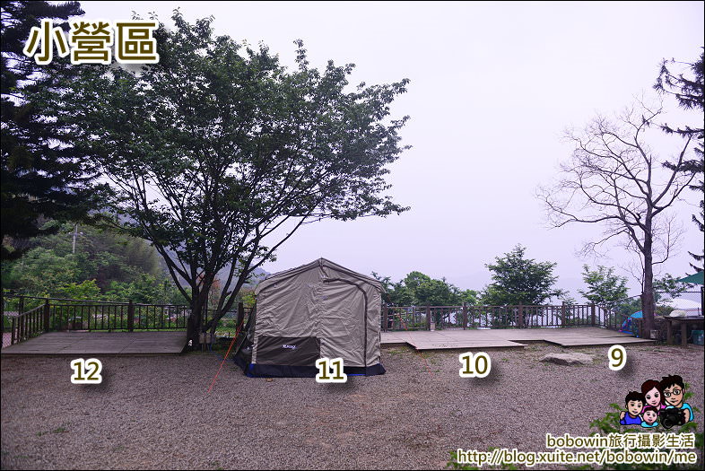 DSC_5213.JPG - 新竹紅薔薇露營區